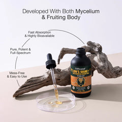 Lion's Mane Mushroom Extract