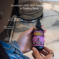 Extrait de champignon Reishi