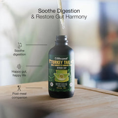 Extrait de champignon queue de dinde 