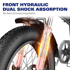 1000W Fold Electric Bicycle 48V12.5AH Fat Tire Ebike 20" Mountain Bike